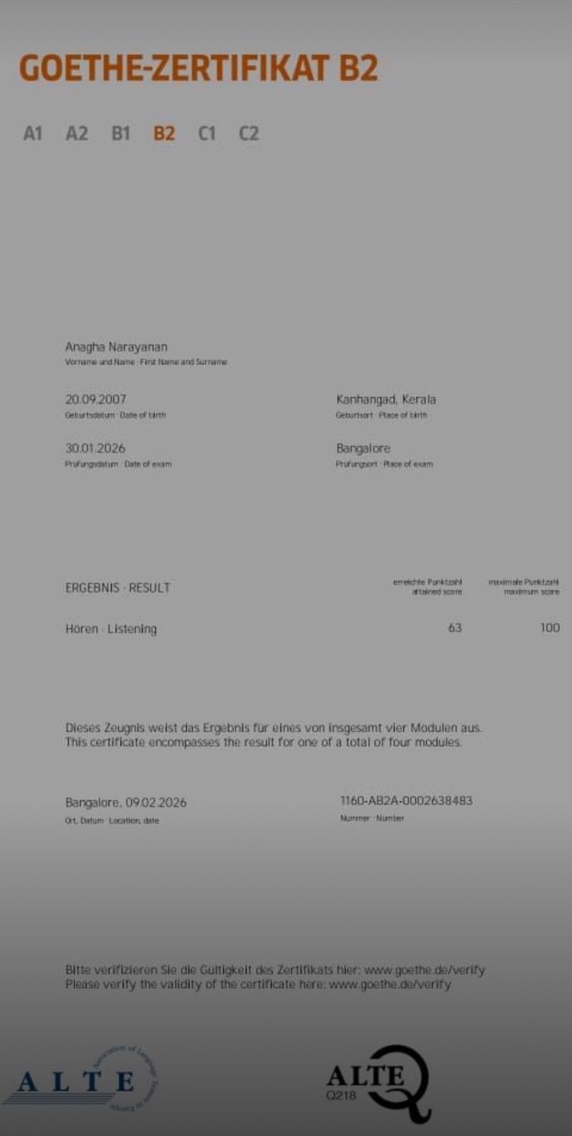 Student Goethe Certificate