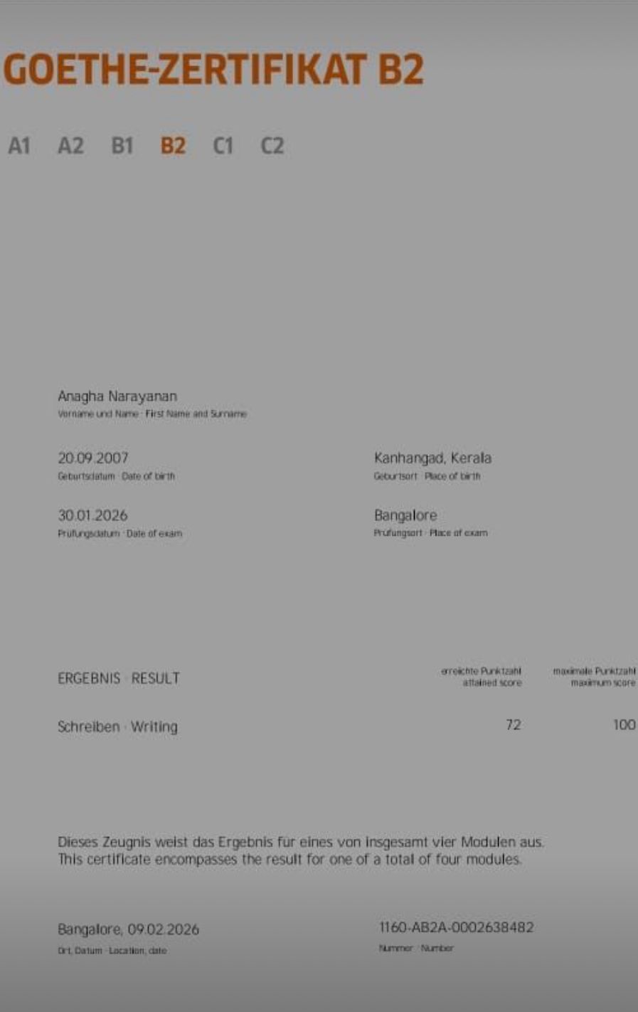 Student Goethe Certificate